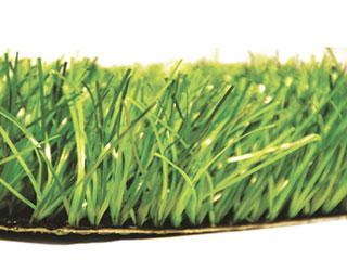 Спортивная искусственная трава 20 мм